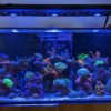 Kessil A360X Adapter Tray for Red Sea Pendant System