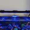 Kessil A360X Adapter Tray for Red Sea Pendant System - Image 2