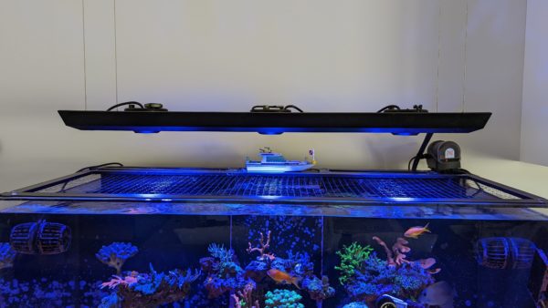 Kessil A360X Adapter Tray for Red Sea Pendant System - Image 2